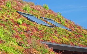 Johnsons Hillock living roof systems