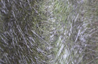 Johnsons Hillock fibreglass roof work